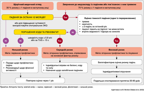 Рис. 1. Алгоритм стратифікації ризику, оцінки і менеджменту падінь