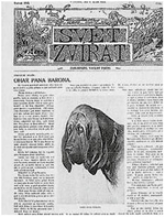 Журнал «Світ тварин»