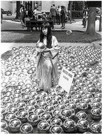 Сад нарцисів Кусами